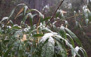 济南下雪啦！寒潮黄色预警生效中，明日最低气温-6℃！山东多地将迎今冬初雪