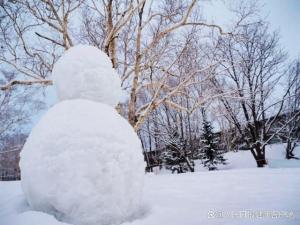 大雪不养生，来年把病生！注重“养藏”三重点