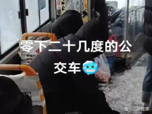 黑龙江公交车厢内全是积雪 冰雪奇缘般的体验引发热议