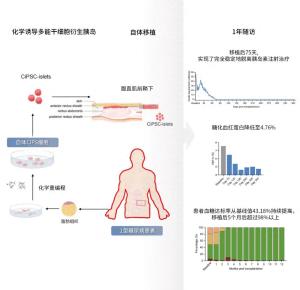 告別胰島素注射,！杭企突破性技術(shù)讓糖尿病治愈成為可能