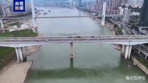 央视还原胖猫事件真相 舆论风暴背后的真相与反思