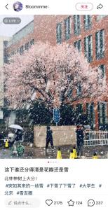 北京突降鵝毛大雪,！3月下雪正常嗎？氣象專家解讀 氣溫如過山車