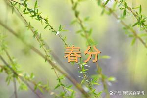 不是迷信！春分日，牢记这几点，别大意 传统习俗与养生要点