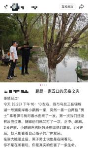 男子用彈弓射殺保護(hù)動(dòng)物 公園內(nèi)不文明行為引眾怒