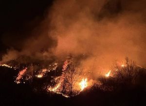 韩多地进入灾难状态 山火肆虐伤亡惨重