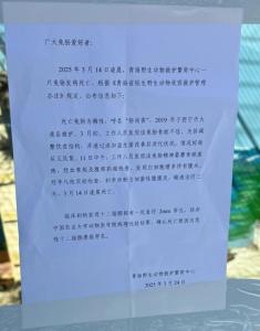 兔狲网红“狲尚香”去世 因急性十二指肠溃疡穿孔离世