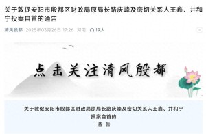 河南一地敦促区财政局原局长自首 投案可从轻处罚