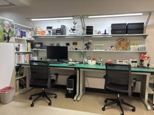 12岁“小孩哥”玩转编程拥有5万粉丝 自学成才引关注