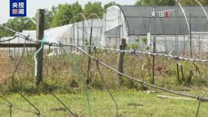 美国各地农民面临破产风险 关税政策加剧困境