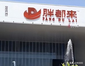 媒體人：“胖都來”不是一個人在山寨 明星站臺引發(fā)爭議