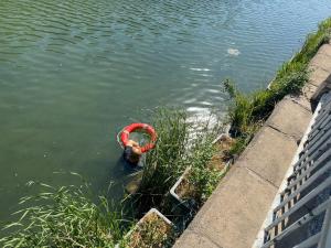 男子與妻子吵架 賭氣跳進北京護城河 消防緊急救援