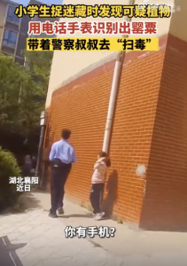 5名小學(xué)生用小天才手表識別罌粟 探險發(fā)現(xiàn)報警求助,！