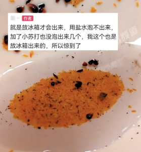 女子稱桑葚放冰箱第2天爬出巨多蟲子！