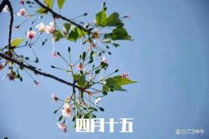 四月十五佛吉祥日,，記得這3件事 祈福納吉保安康