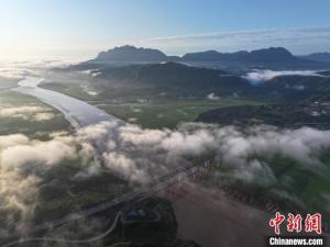 河南發(fā)布今年汛期氣候狀況 降水不均旱澇疊加