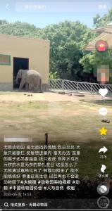 無錫動(dòng)物園被曝環(huán)境差 園方回應(yīng)并整改