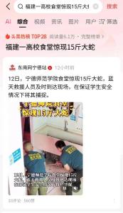 一高校食堂驚現(xiàn)15斤大蛇 校園安全引關注
