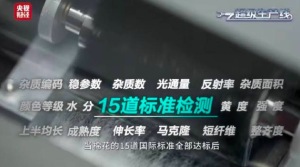棉花進廠要經(jīng)過15道標準檢測 郭晶晶陳偉鴻探秘棉柔巾工廠