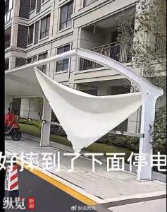 女子從12樓意外墜落奇跡生還 車棚成救命緩沖