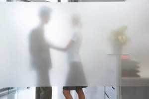 高管與女員工接吻被辭索賠百萬(wàn),，公司以違反員工手冊(cè)為由將其開(kāi)除