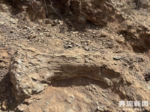 甘肅再發(fā)現(xiàn)多處恐龍化石遺跡 蜥腳類恐龍現(xiàn)身臨洮