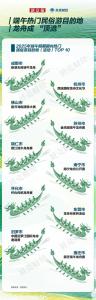 各地龍舟賽又來整活了！2025年端午龍舟賽事地圖：25省份“水上競速”