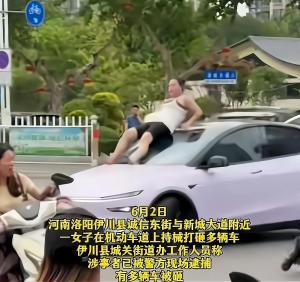 洛陽女子砸車后被制服 精神病發(fā)作引關(guān)注