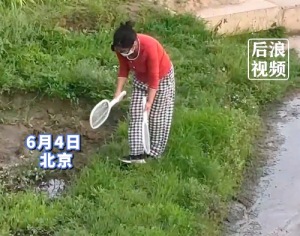 大媽拿倆電蚊拍一路沿河邊打蚊子 網(wǎng)友：這精神狀態(tài)太解壓了