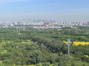 京津冀鳥類超過(guò)600種占全國(guó)近四成 生態(tài)改善引來(lái)百鳥棲息
