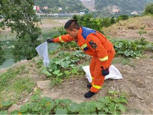 居民樓周圍蛇出沒 消防化身捕蛇人 守護(hù)群眾安全