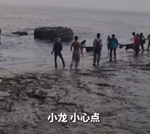 游客落入海中 現(xiàn)役軍人果斷下海救人