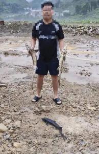 養(yǎng)殖基地遭河水倒灌數(shù)萬斤鱘魚被沖走 損失超百萬