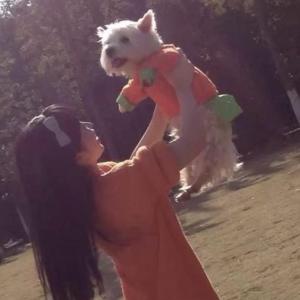 女子辭職自學(xué)法律為愛犬追兇千余天 寵物中毒案延審8次引發(fā)關(guān)注