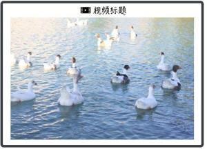 “關(guān)稅大限”將至 美國(guó)又變了 談判期限或延長(zhǎng)