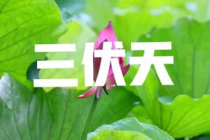 六月初十看伏天，今年會(huì)熱得慌嗎,？ 三伏天酷熱預(yù)警