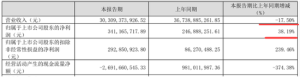股價(jià)暴跌近80%,，去年虧近23億，東方盛虹1700多億負(fù)債下能否盈利突圍,？行業(yè)低谷期的挑戰(zhàn)