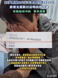 媒體：壓垮男孩的只是910元車費(fèi)嗎 年輕生命在困境中的迷失