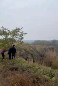 女子遭丈夫家暴致死父亲后悔劝和 以生命为代价的警示