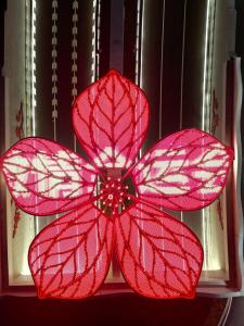 广南快速路12日通车试运营 最快15分钟通达南站