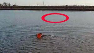 民警毫不犹豫跳入河中救人 警民携手化险为夷