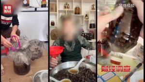 央视曝光被滥养的杀人蜂 揭秘泡酒治病骗局