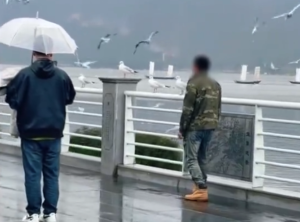 男子试图抓海鸥未果吓跑一排海鸥，同伴在一旁拍摄，景区回应