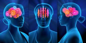 蔡磊回应未来准备尝试脑机接口 技术托付希望