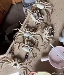 买家AI合成死螃蟹诈骗事件店主发声 呼吁优化监管机制