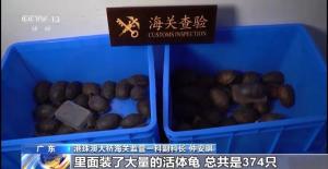 女子裤子内藏2斤多活虫入境 人体夹藏违禁品被查