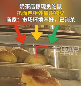 奶茶店老鼠扒面包柜外望眼欲穿 老板：已消杀