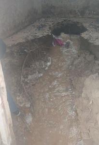 断流数十年 郑州“母亲河”源泉喷水！