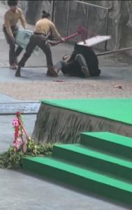 杭州野生動物園黑熊搶食撲人 表演暫停待評估