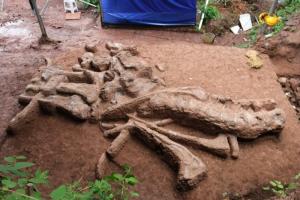 重慶發(fā)現(xiàn)恐龍新種：三江馬門溪龍 復原體長可達24米！