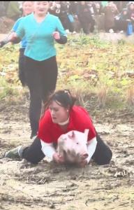 抓猪妹家的猪圈关满了奖品 22头“战果”待分享